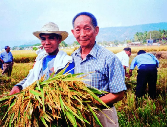 91岁袁隆平去世，5分钟回顾“杂交水稻之父”的一生-第4张图片-大千世界