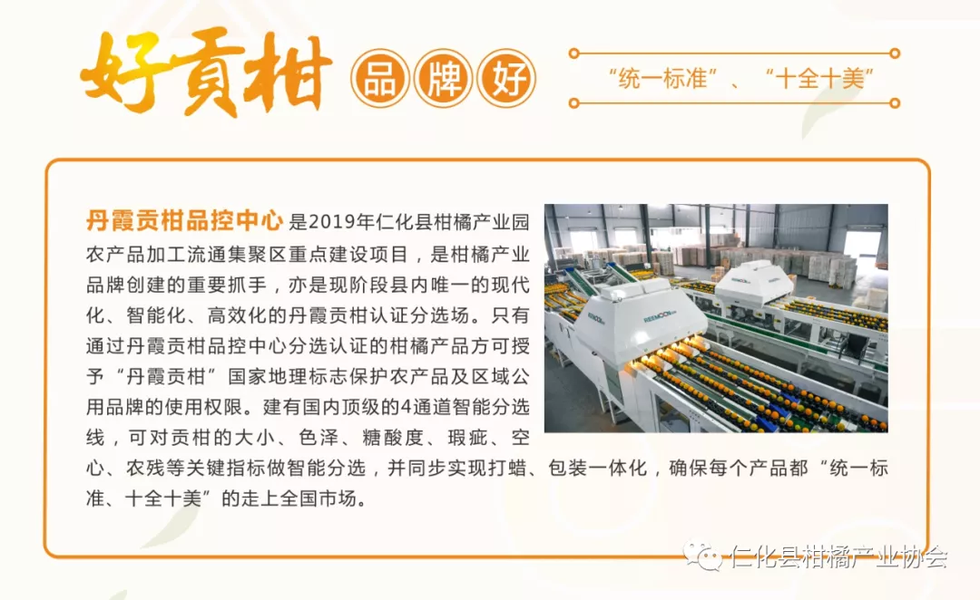 不看不知道!原来丹霞贡柑有这么多秘密!你吃对了吗?