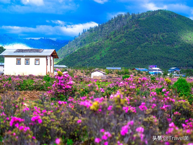 云南旅游大攻略，来一场没有高原反应的云南之旅