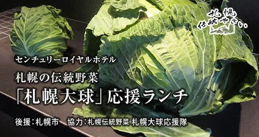 壮观！日本网友买到比购物车还要大的卷心菜！这也太夸张了吧