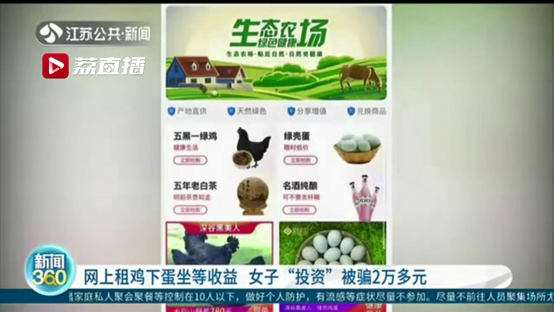 网上租鸡下蛋，一只鸡蛋2.62元以上 女子&ldquo;投资&rdquo;被骗2万多元