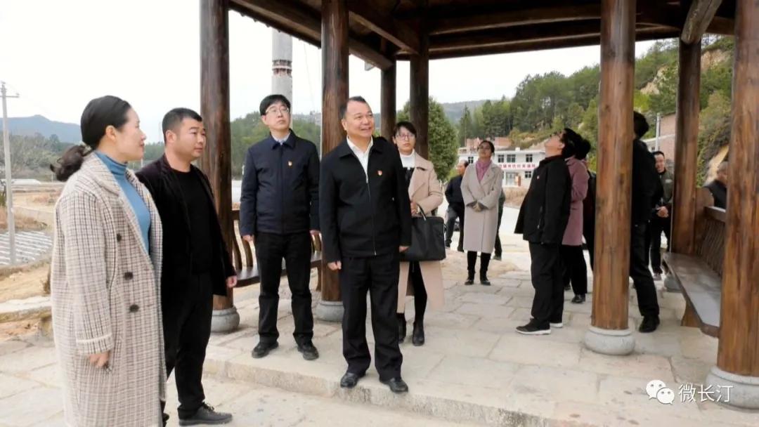 长汀县领导调研“田园牧歌•七星闪耀”乡村振兴跨村联建示范片