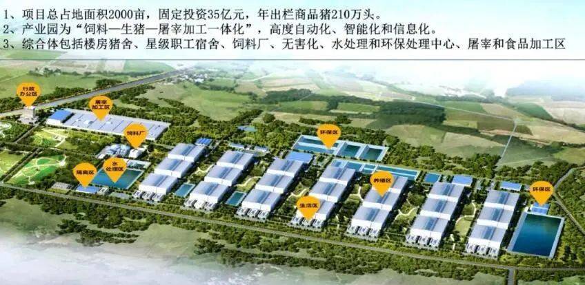 中國超級養豬場，年產豬210萬頭，產出的大量豬糞將如何處理？