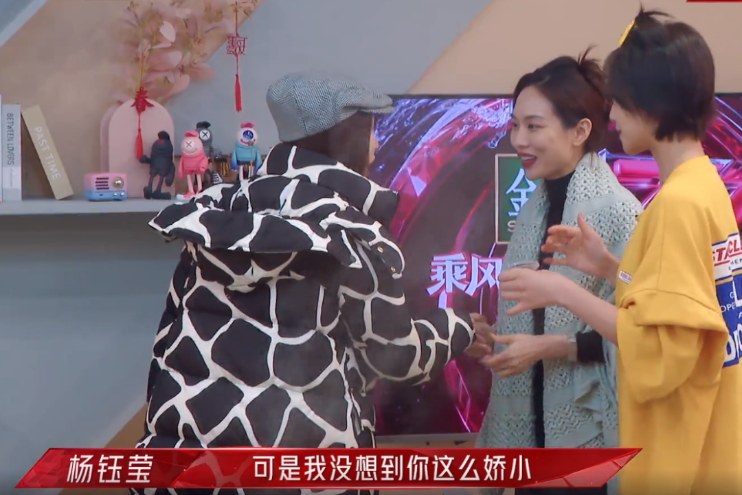 蓝盈莹的真实身高让张柏芝惊讶，其实不少女星