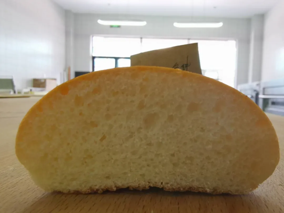 面包实验丨不同的松弛时间，对面包究竟有何影响？
