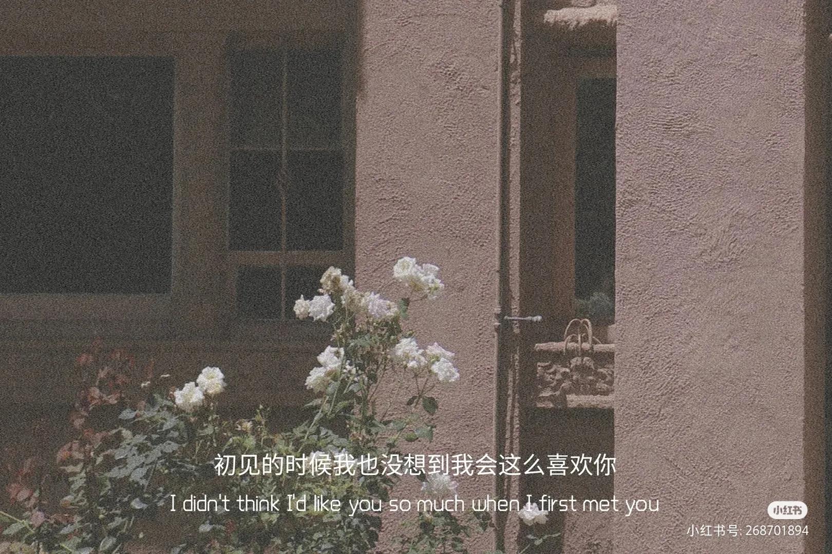 适合微信状态的文案，慢慢来吧好与不好都随缘吧