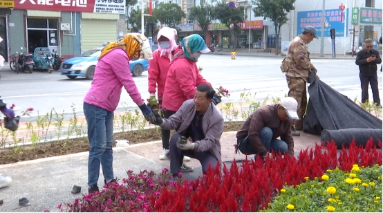 鲜花装点街道 扮靓城市迎“双节”