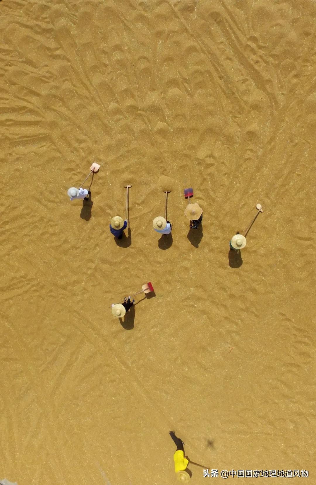 Person of 100 million Shandong, it is the child of the steamed bread