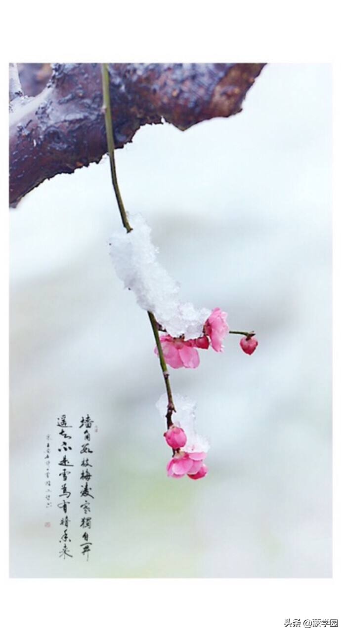 春夏秋冬诗词名句，绝佳的作文积累，收藏起来！-第8张图片-非凡网