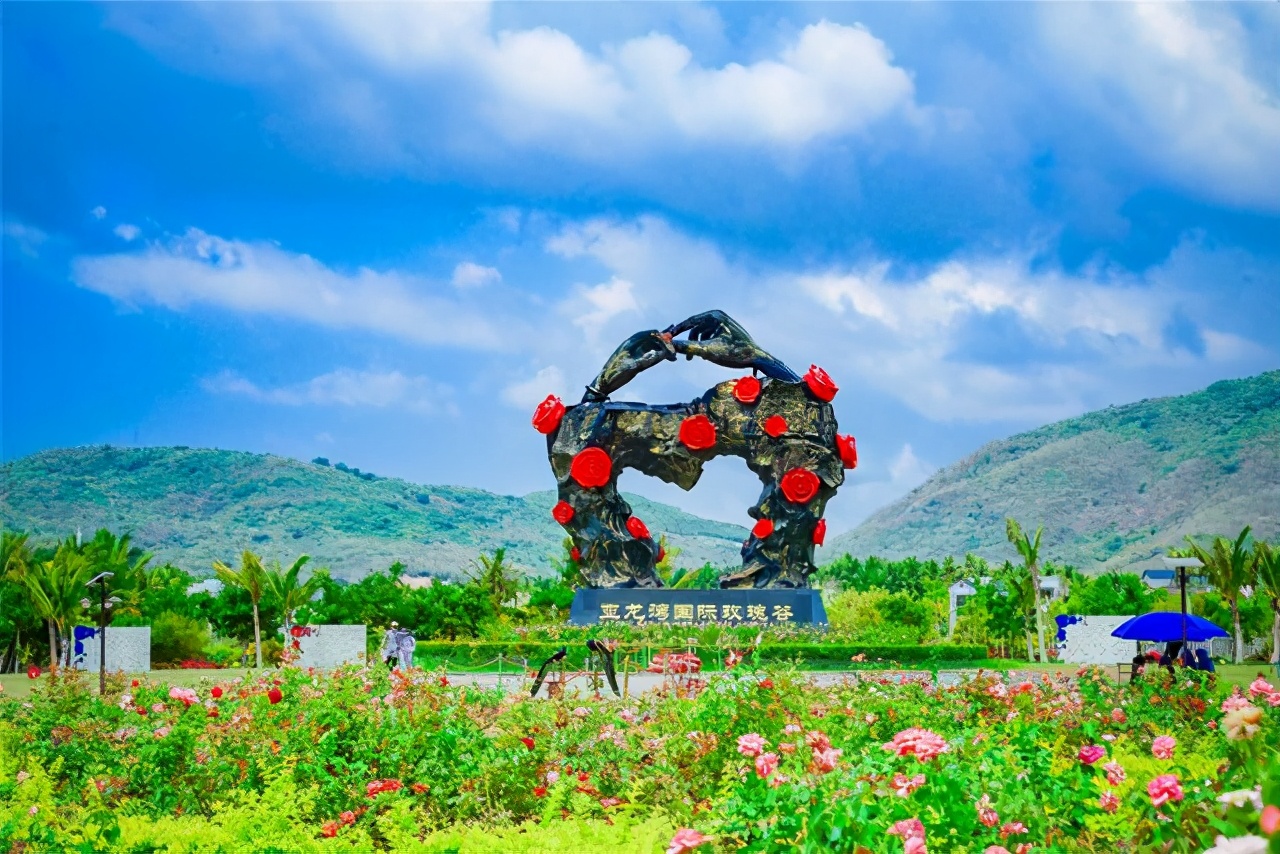 冬天旅行首选目的地，三亚吃喝玩乐全攻略，给你最悠闲的海岛时光