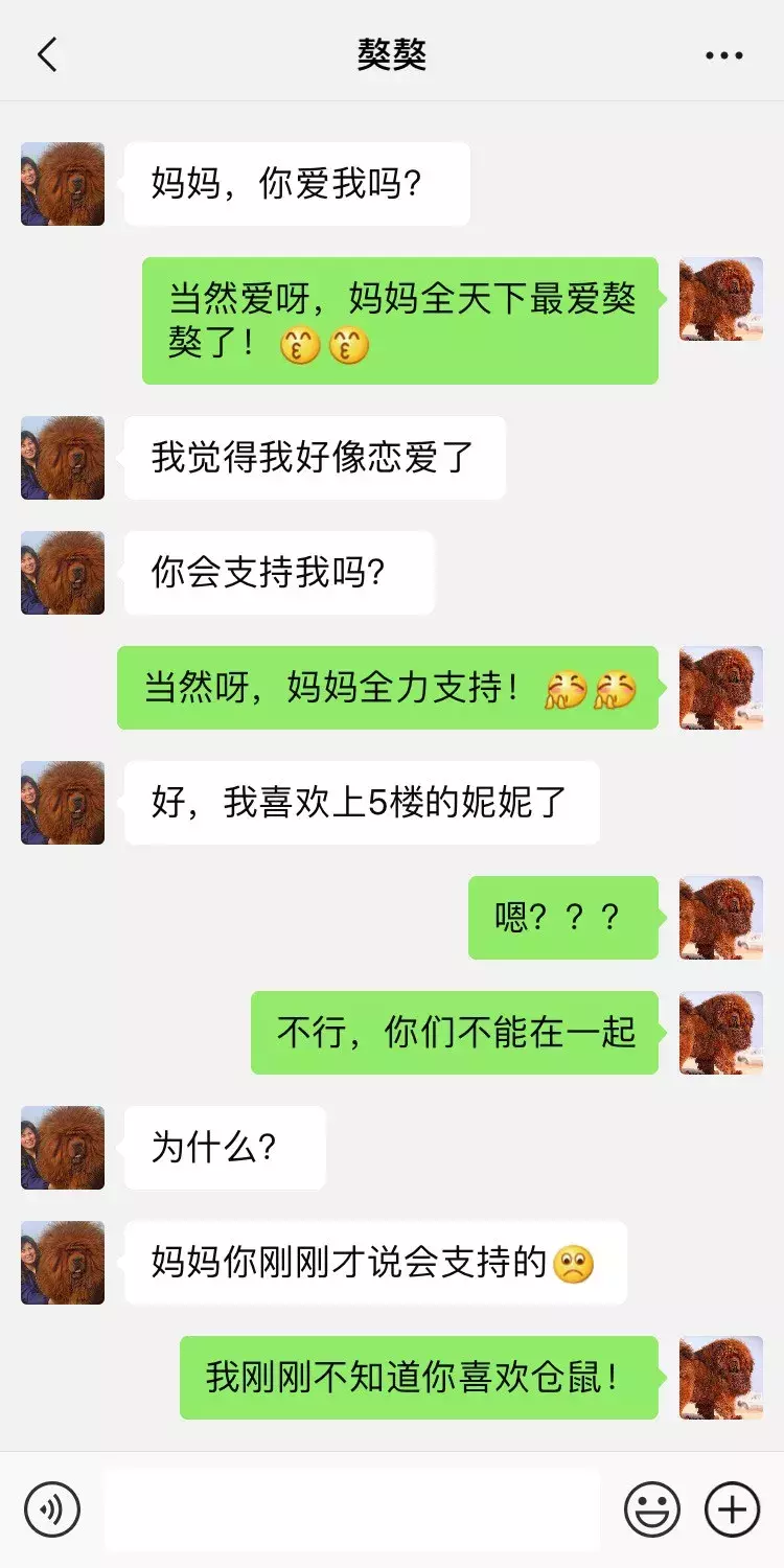 笑屎了！這些狗狗的聊天記錄，承包了我一周的笑點