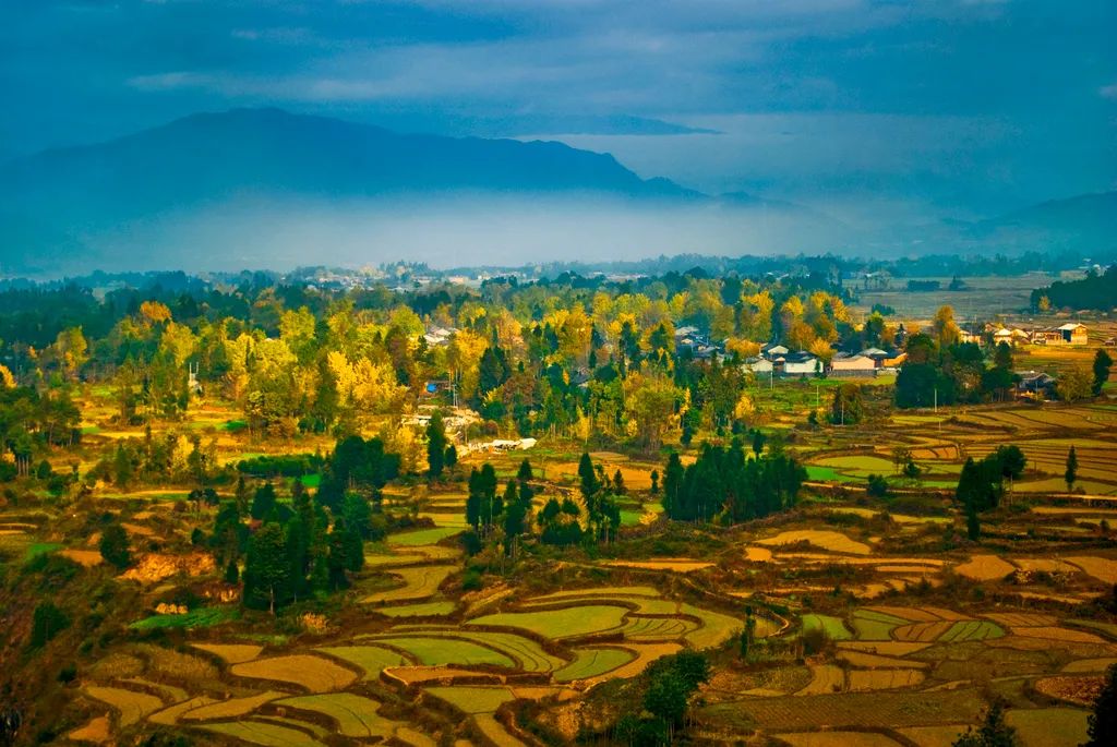 云南腾冲银杏村里的三宝和谐共处600多年惊艳了世人