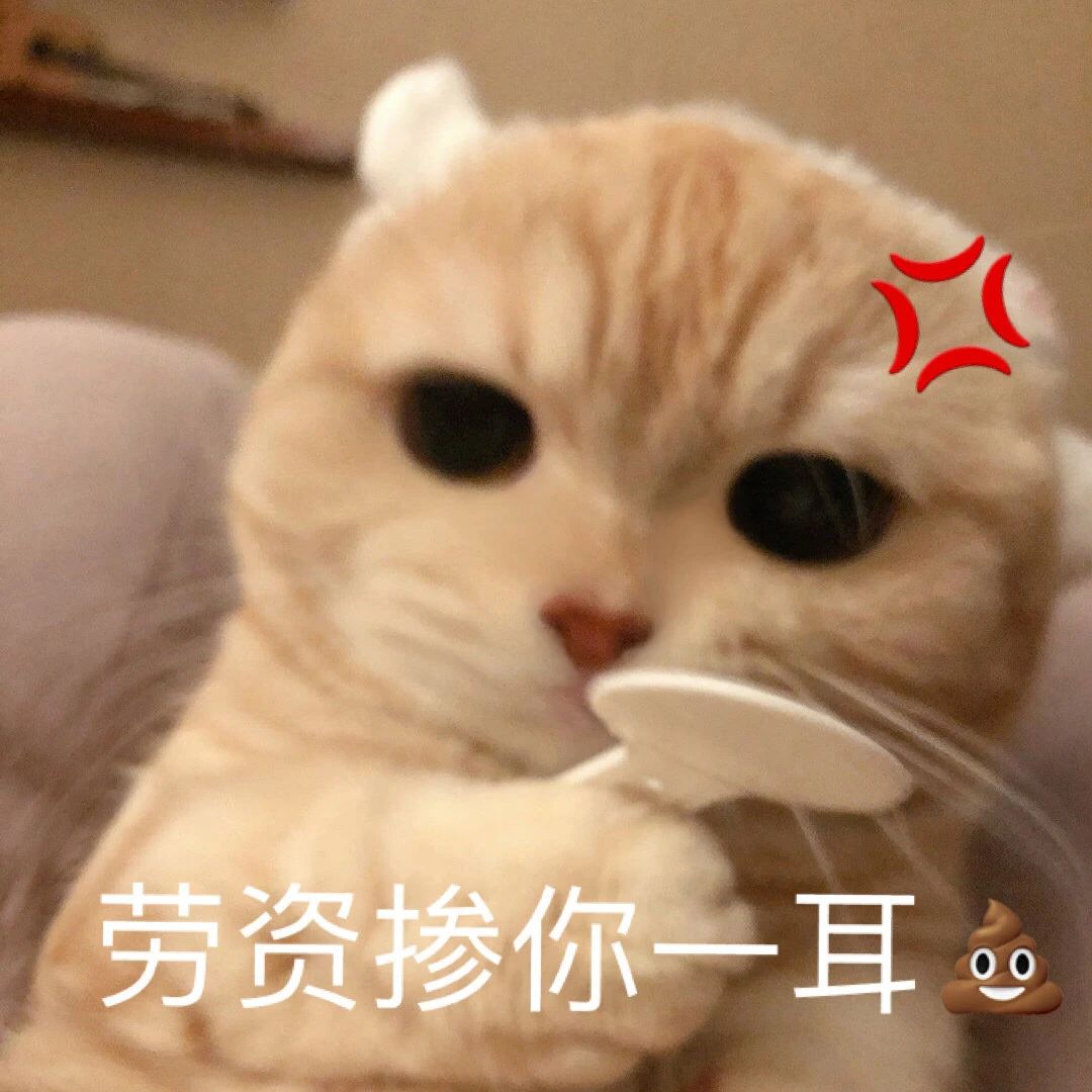 猫咪表情包 生气专用表情包 动物表情 搞起啦表情图片网