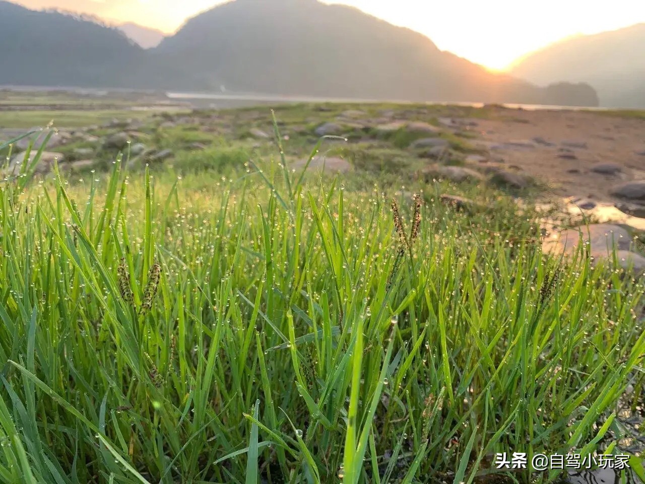 深圳、广州出发，最快1h到达！广东这5个大草原，你去过几个？