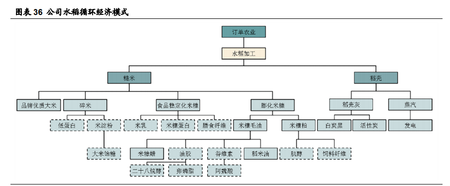 金龙鱼深度解析：厨房食品业务优势突显，饲料业务景气上行