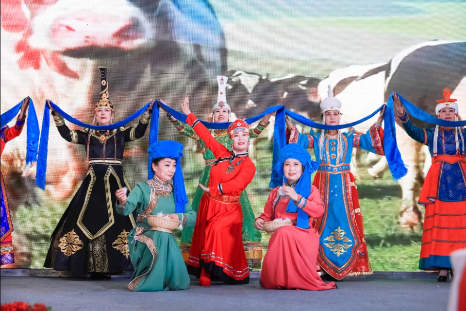 茶博会|漫漫茶路，茗香飘扬！第二届呼和浩特茶博会隆重开幕