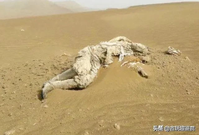 5万人的军队神秘失踪，几千年后，专家在茫茫沙漠中发现了他们