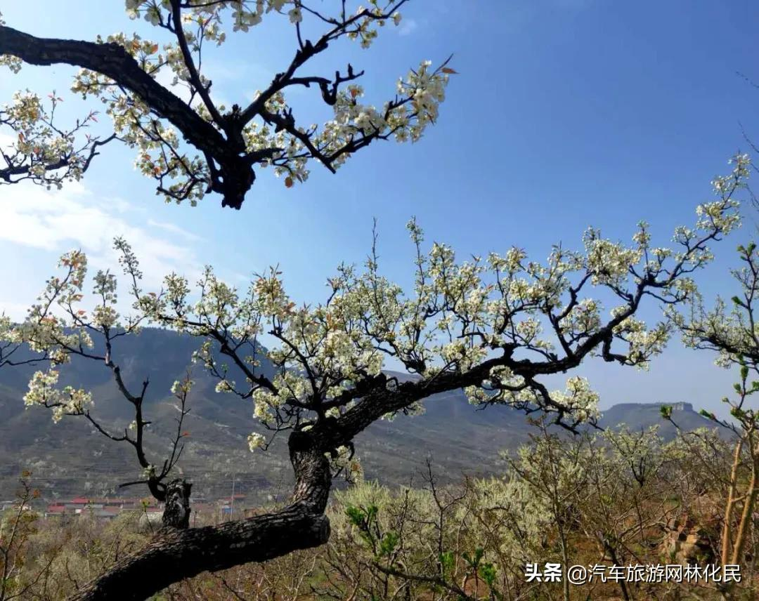 「3.27日·好客山东年卡」平邑九间棚+康谷温泉1日游