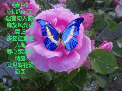 写给春天的情诗！-第1张图片-非凡网