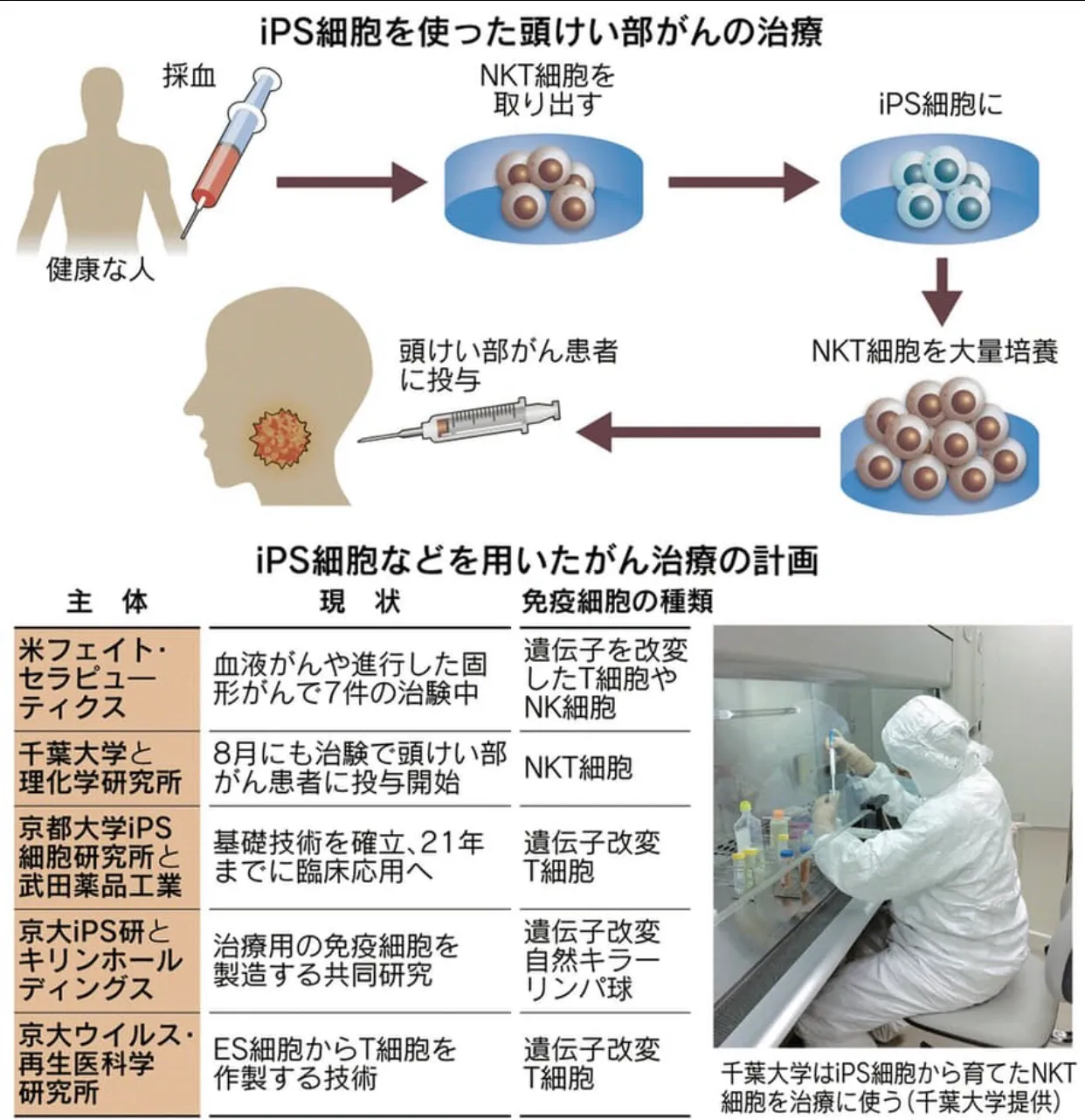 日本开发干细胞治疗技术、制造免疫细胞应用于治疗新冠病毒