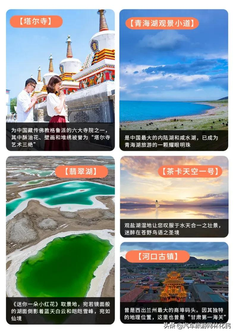 临沂「惠游丝路」门源/张掖/敦煌/德令哈/茶卡/青海湖/西宁8日游
