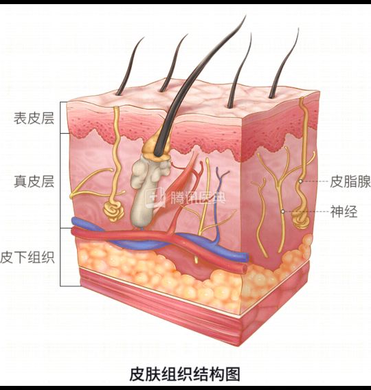 曬黑後白不回來？ 可能是你沒做這8件事