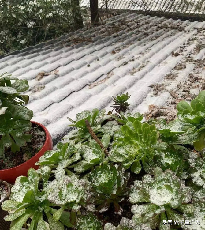 重庆人翘首以盼的“雪”来了