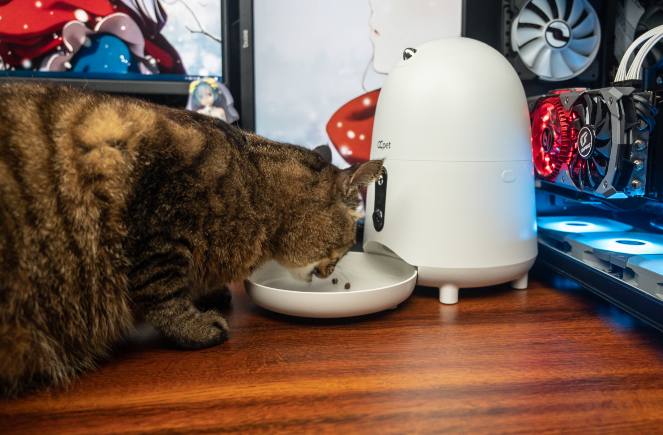 给各位爱猫人士的喂猫神器，让自己的主子也可以用上智能喂食器