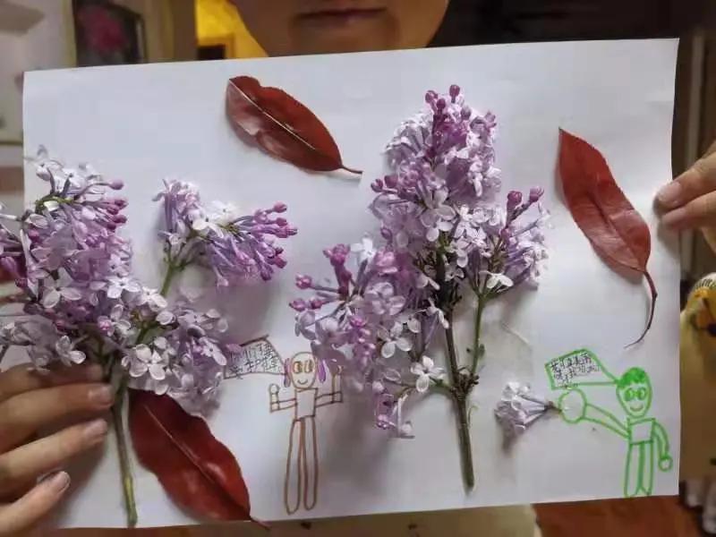 ��֮��.ֲ�̻���--�����еھ�Сѧֲ���ڻ��Ӱ