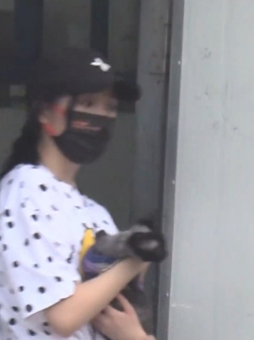 关晓彤穿死亡荧光绿衣服也难掩美貌，漫画腿抢眼，坐百万豪车下班