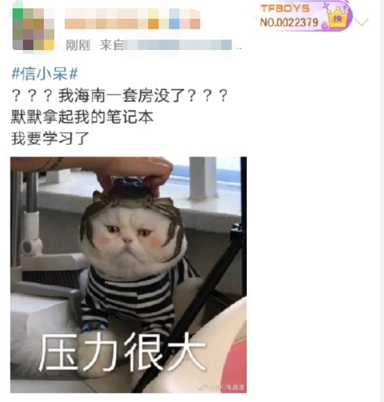 中国锦鲤女孩信小呆致歉事件激起一阵网浪，微博曝光超级主播KING被关闭