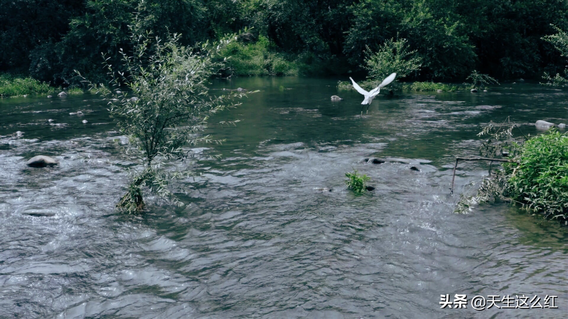 Xiao Zhan + king tired, specially good effect gives power " fight Luo Daliu " , can you save big male advocate black unreal drama? 