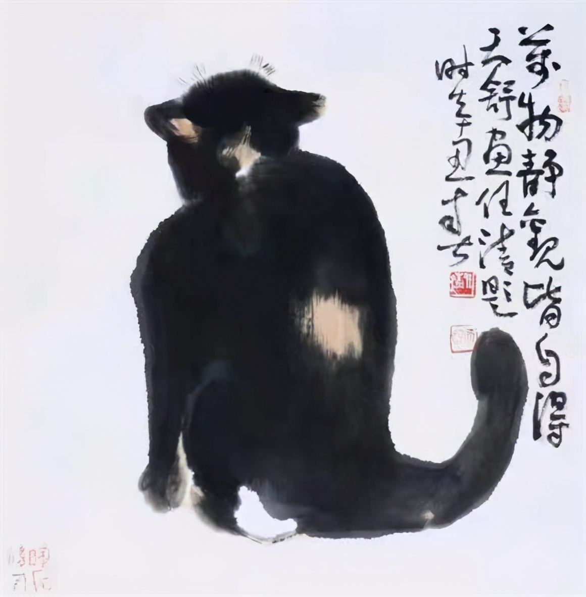 春天，高天舒的猫又叫了