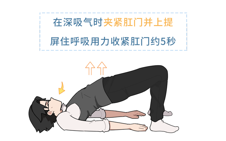 解锁提肛运动肛肠前列腺泌尿系统都会感谢你