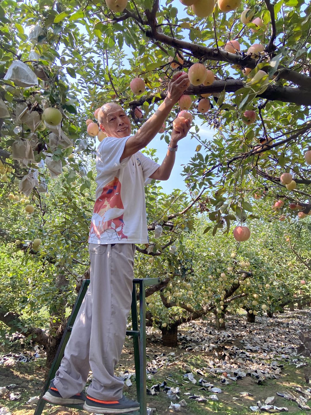 感受自然美丽，创建绿色家园