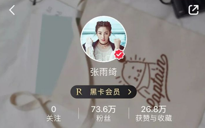 购物的诱惑力，让张雨绮都抵挡不住！其中少不