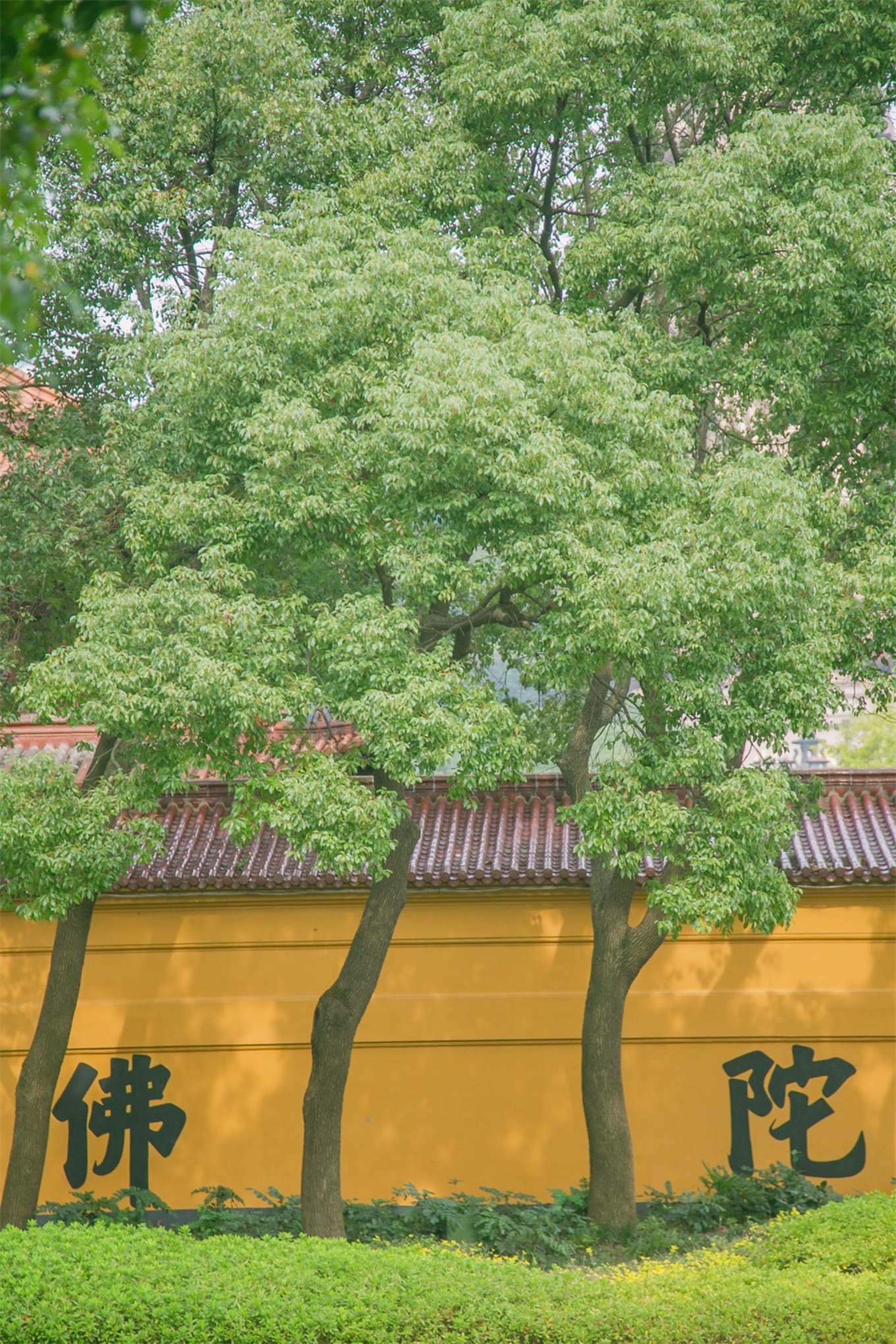 这个被誉为“山水氧吧”的地方，却藏着一座堪称东方的“卢浮宫”