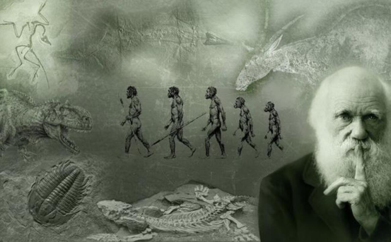 海洋面積比陸地的2倍還大，為什么陸地能誕生文明，海洋卻不可以