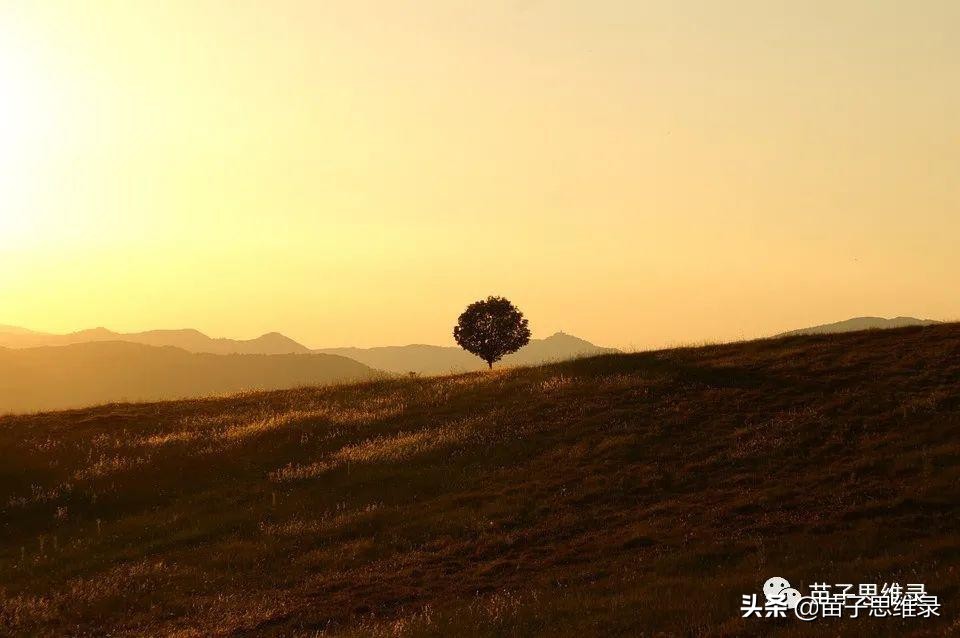 苗子：分享一波需要执行力的引流方法
