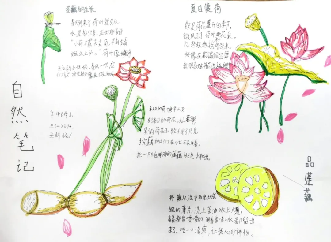 玩转科技节，开广好奇心——天府新区华中附小首届科创节活动