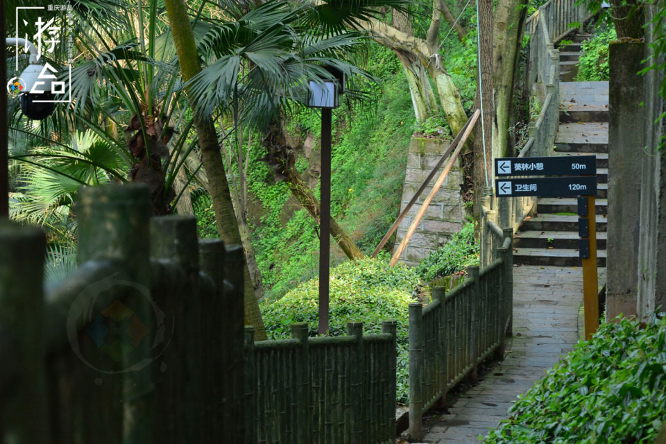 在重庆佛图关寻找“巴山夜雨”，爬完数不尽的台阶，结果令人失望