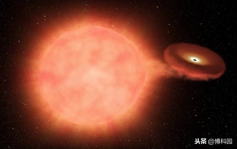 LCO和NASA开普勒确定超新星起源！