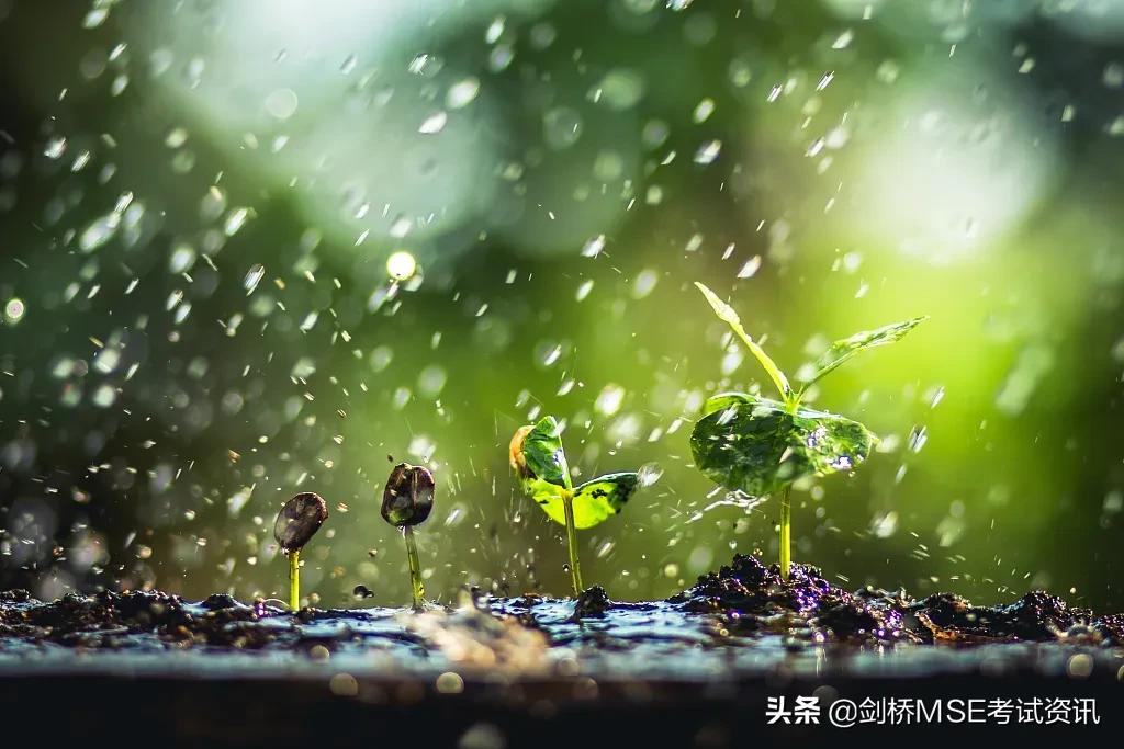 你知道“谷雨”用英语怎么翻译吗？丨双语说节气