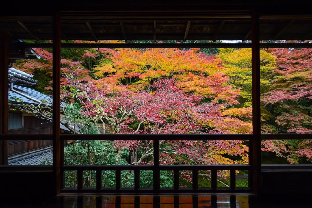 The most beautiful place to travel in November, no strategy and no money, which one do you want to go to?