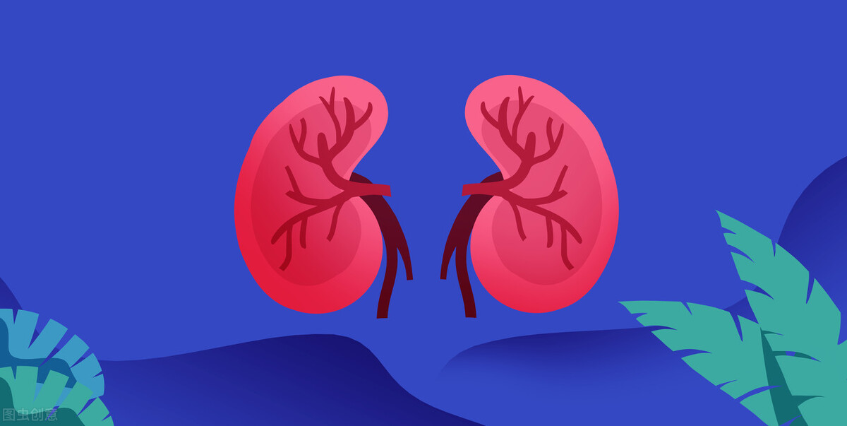 經常吃中藥是�愛腎�還是�害腎�呢？ 醫生給出答案，早知早獲益