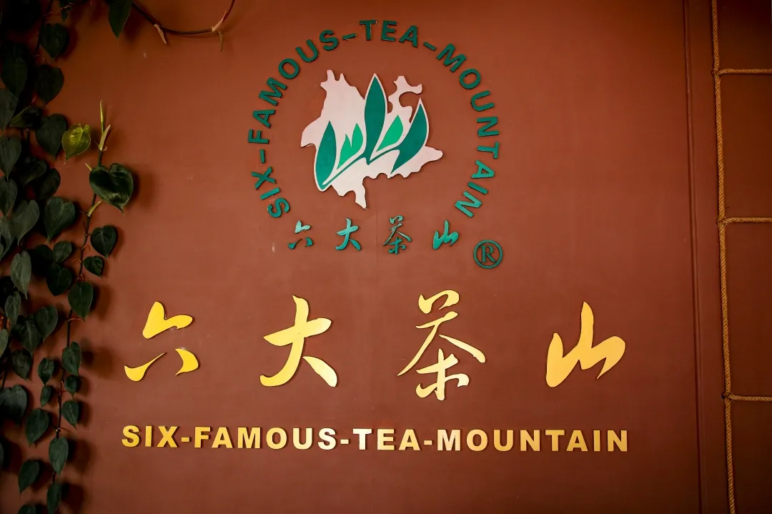 抢占先机 | 六大茶山国内空白市场诚邀代理火热开启