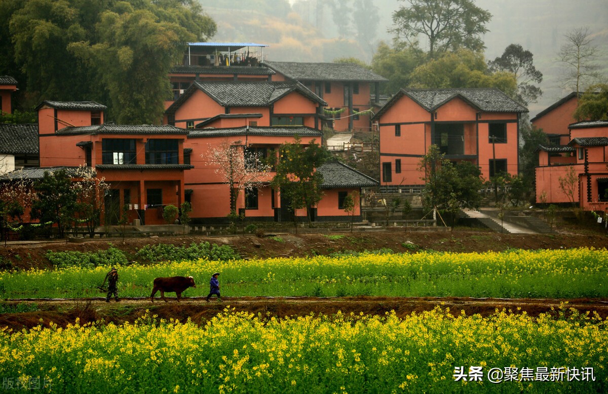 庐镇乡推进人居环境整治建设生态宜居美丽乡村