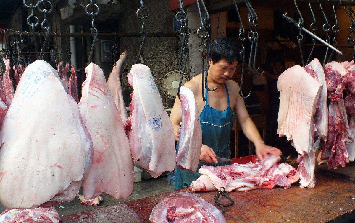 猪价冲天大涨，猪肉跌破16元/斤，五一临近，猪肉价又要涨了？