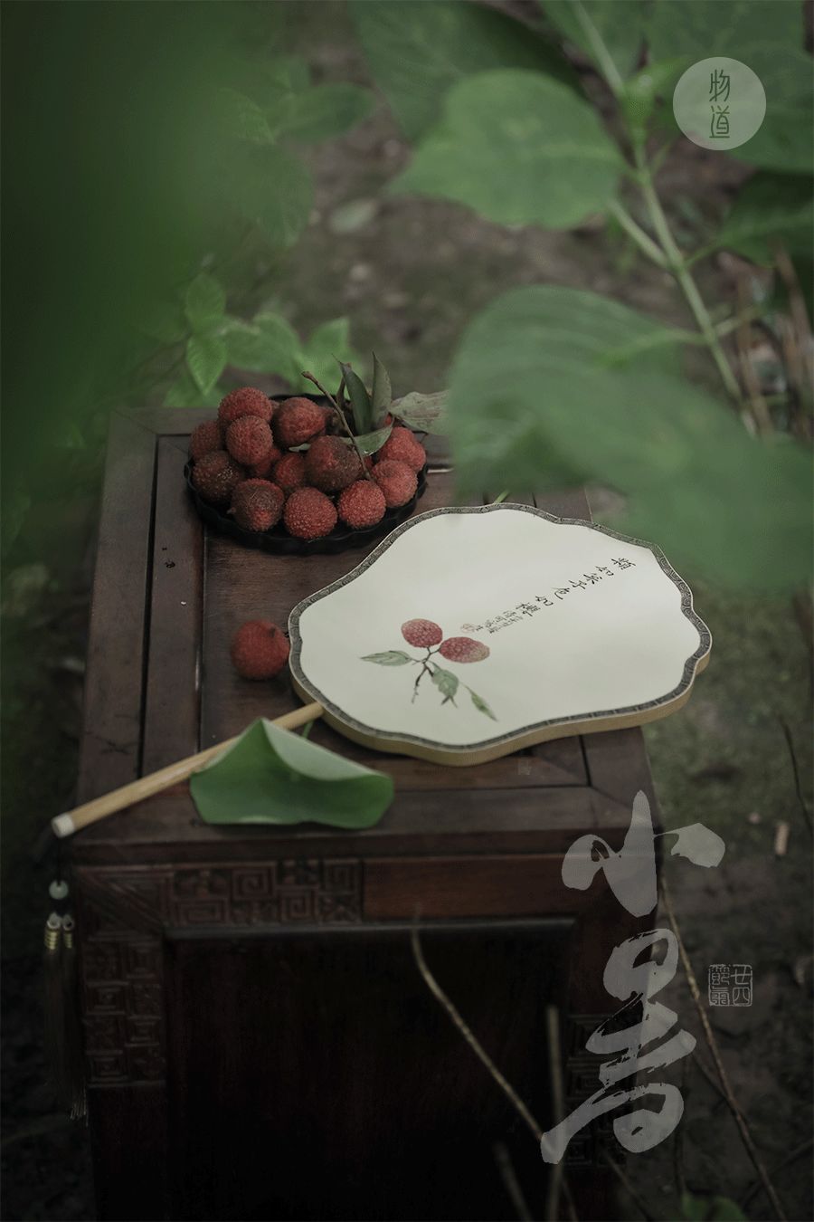今日小暑：一瓢西瓜，不知有夏
