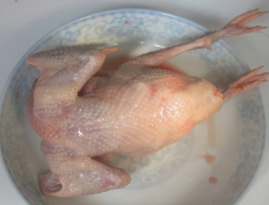 图片[2]-鸽子汤的做法步骤图 这样做营养更滋补-起舞食谱网